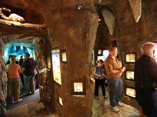 Creation and Earth History Museum-Santee必去景点