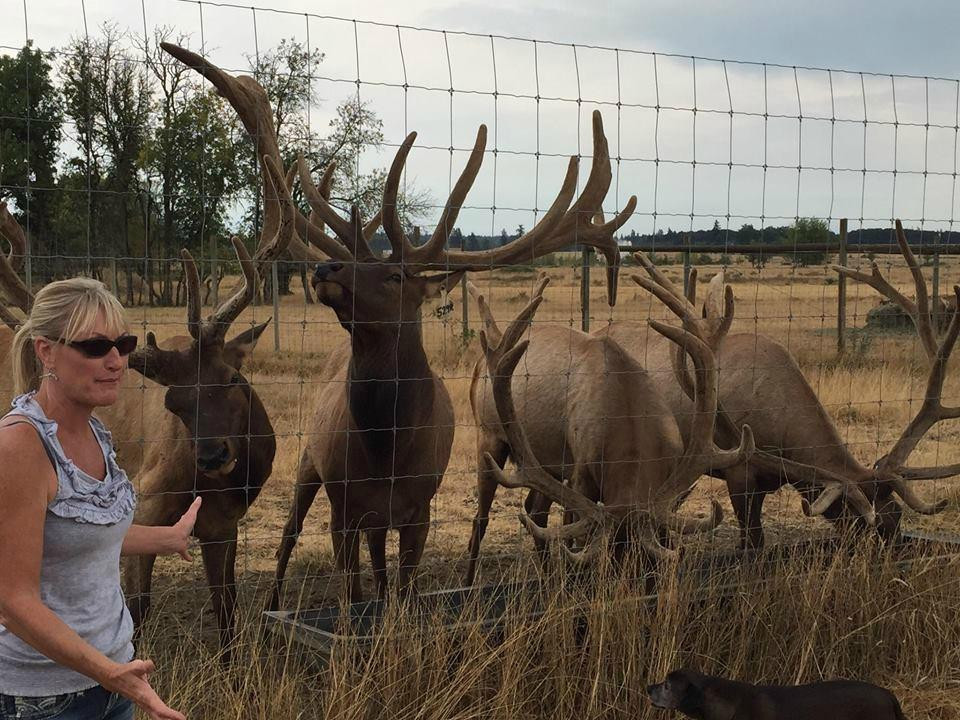 Rosse Posse Acres Elk Ranch-Molalla必去景点