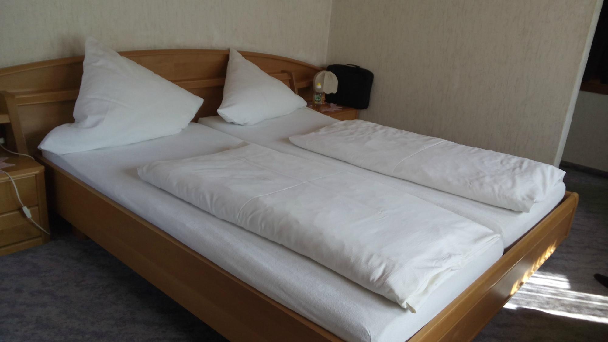 Gasthof Zur Traube-客卧