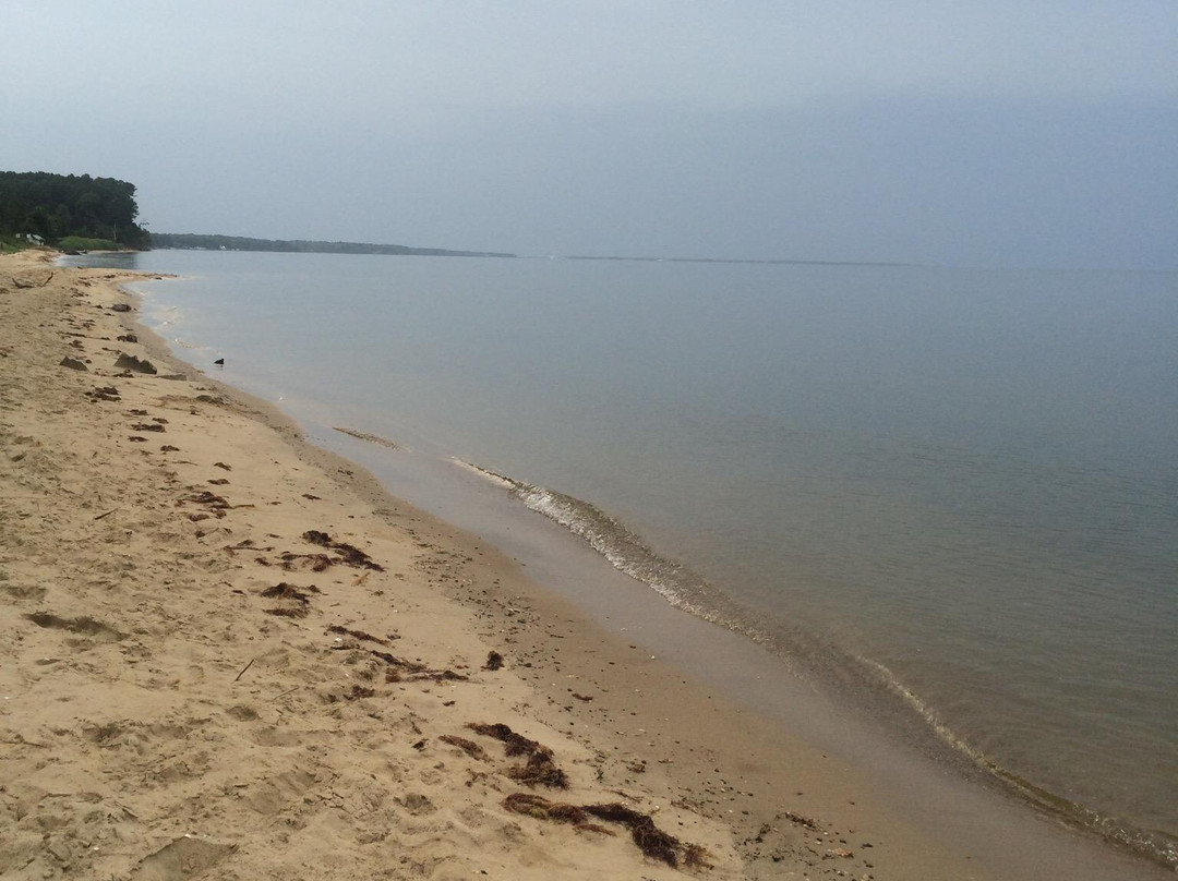 Elms Beach Park景点图片