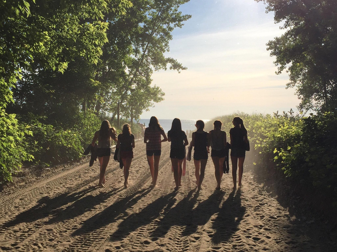 Woodlawn Beach State Park景点图片