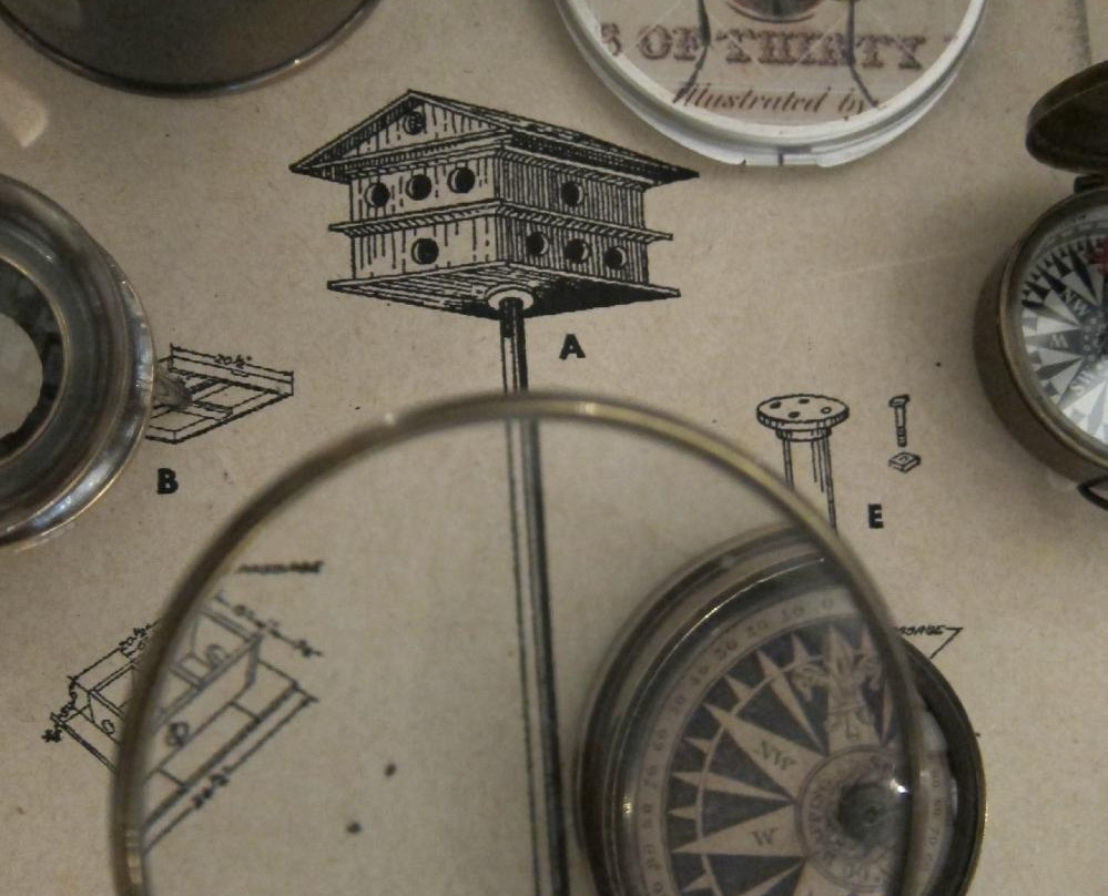 Camino Silvestre-圣米格尔护城必去景点