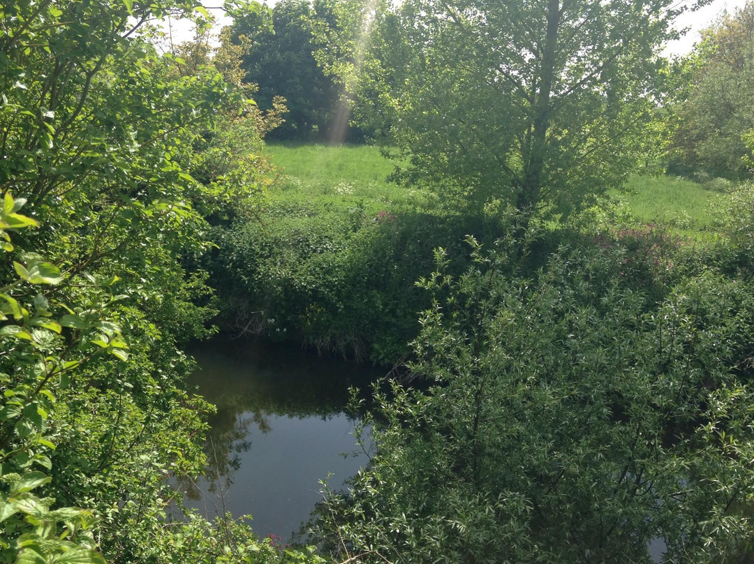 Needham Lake景点图片