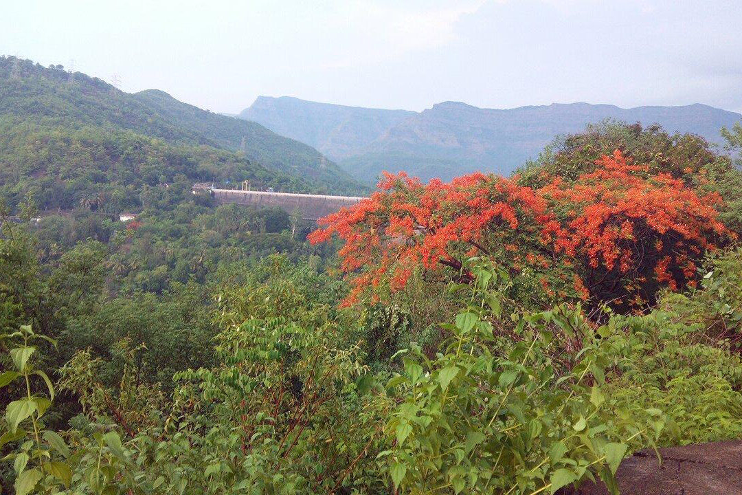 Kolkewadi Dam景点图片