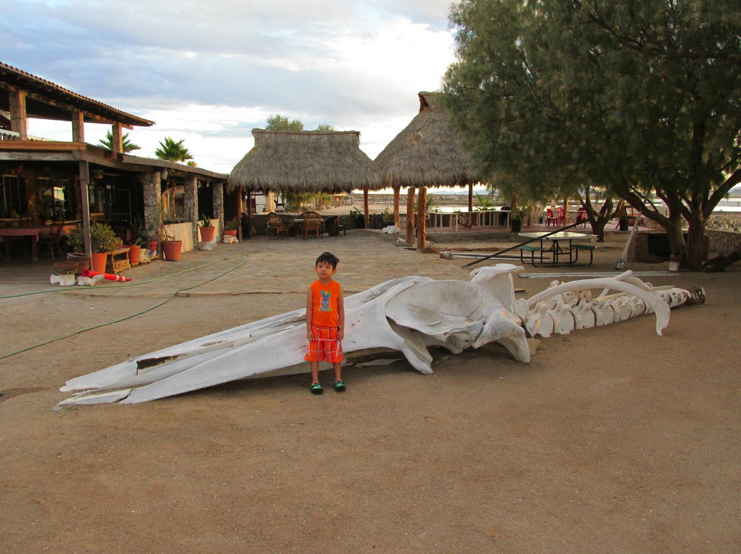 Guillermo's Hotel主图