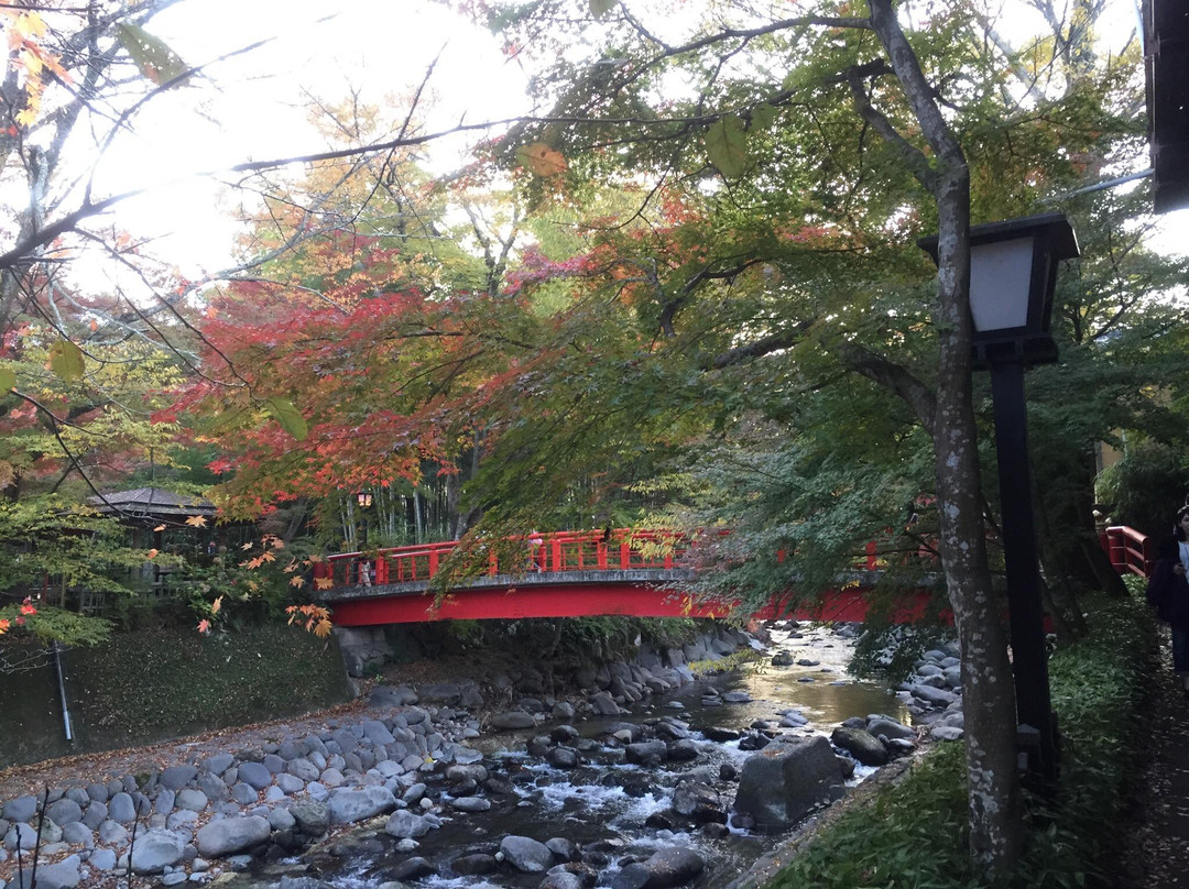 Katsura Bridge-伊豆市必去景点