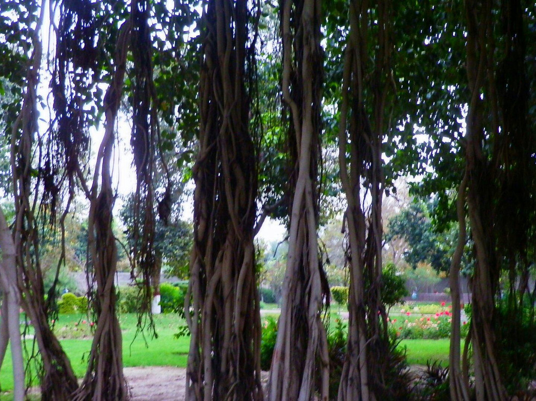 Cantonment Garden-Multan必去景点