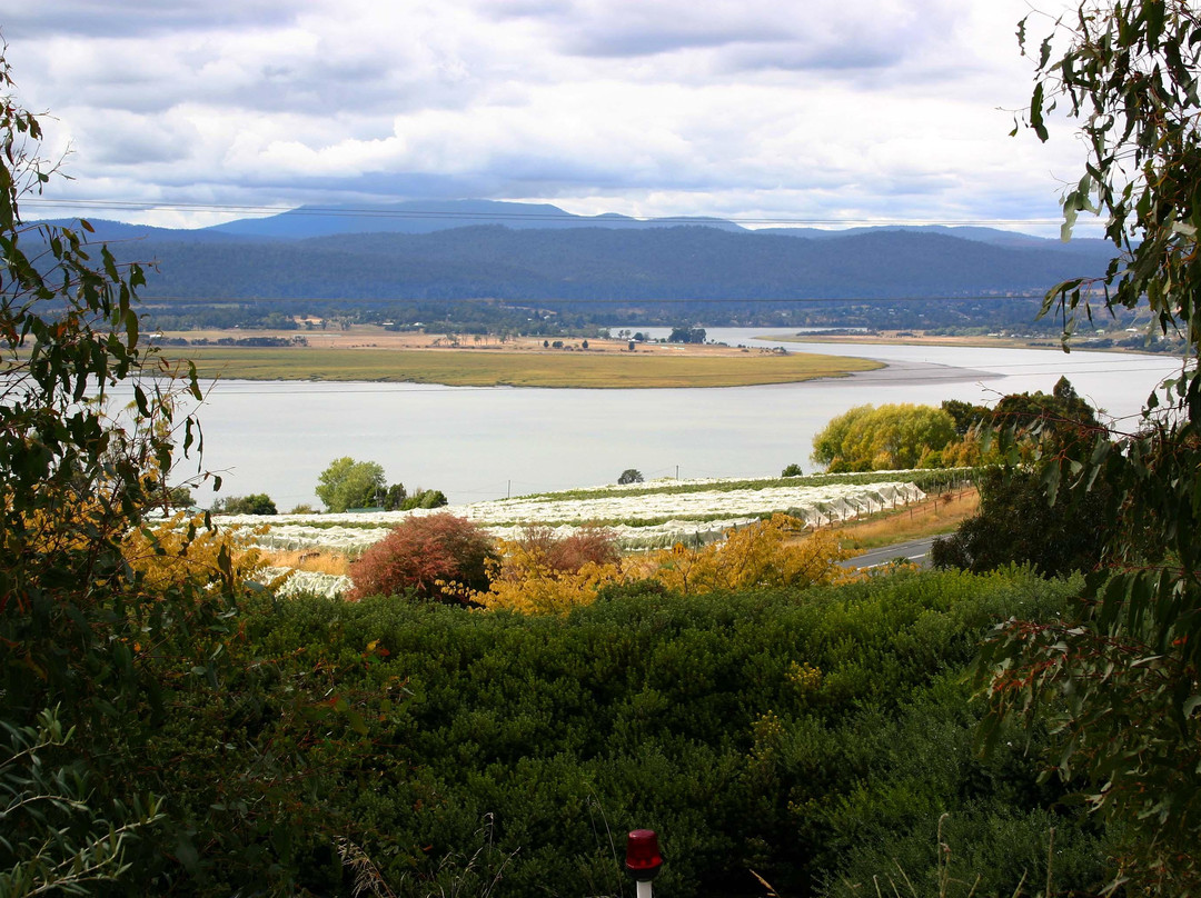 Tamar Ridge Cellar Door-Rosevears必去景点