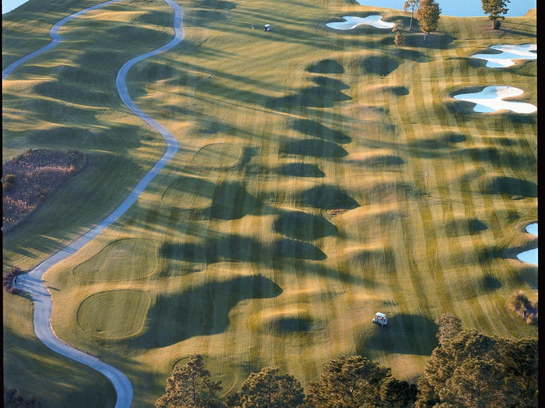 Ocean Ridge Plantation Golf景点图片