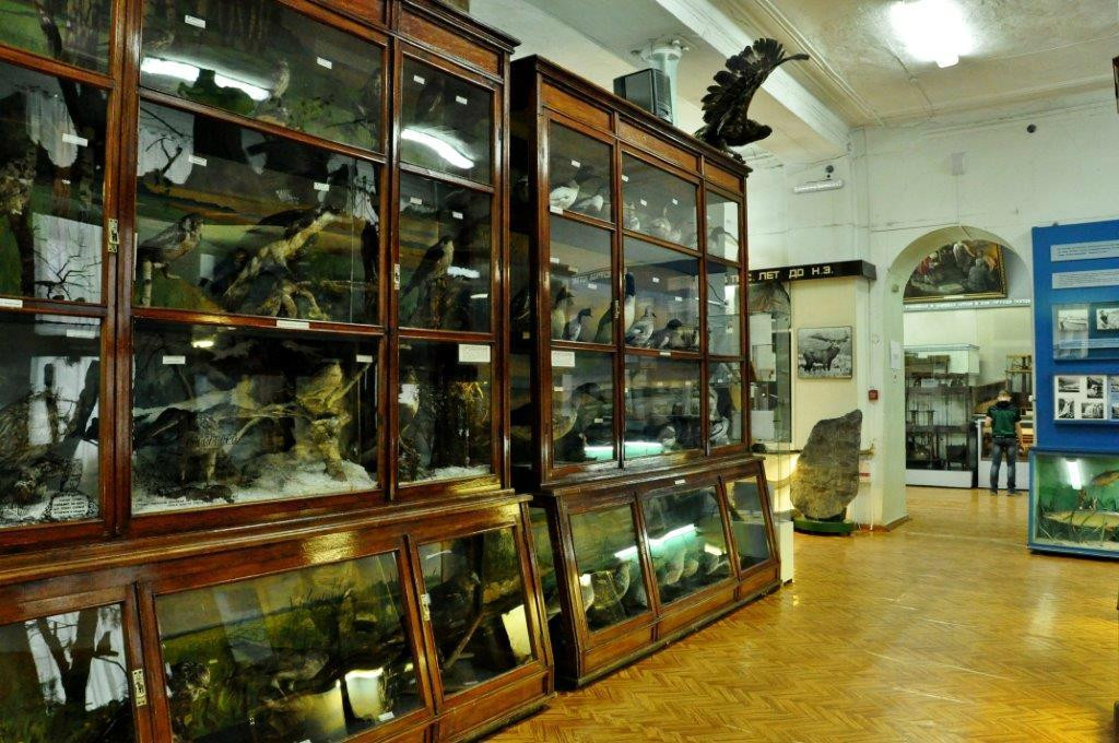 Altai State Local Lore Museum景点图片