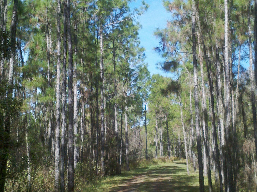 Hardee Lakes Park-Bowling Green必去景点