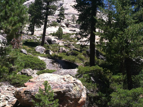 Wagner's Mammoth Pool Resort-North Fork必去景点