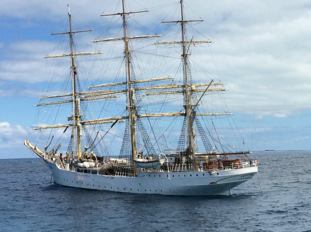 M & J's Charters-格雷斯湾必去景点