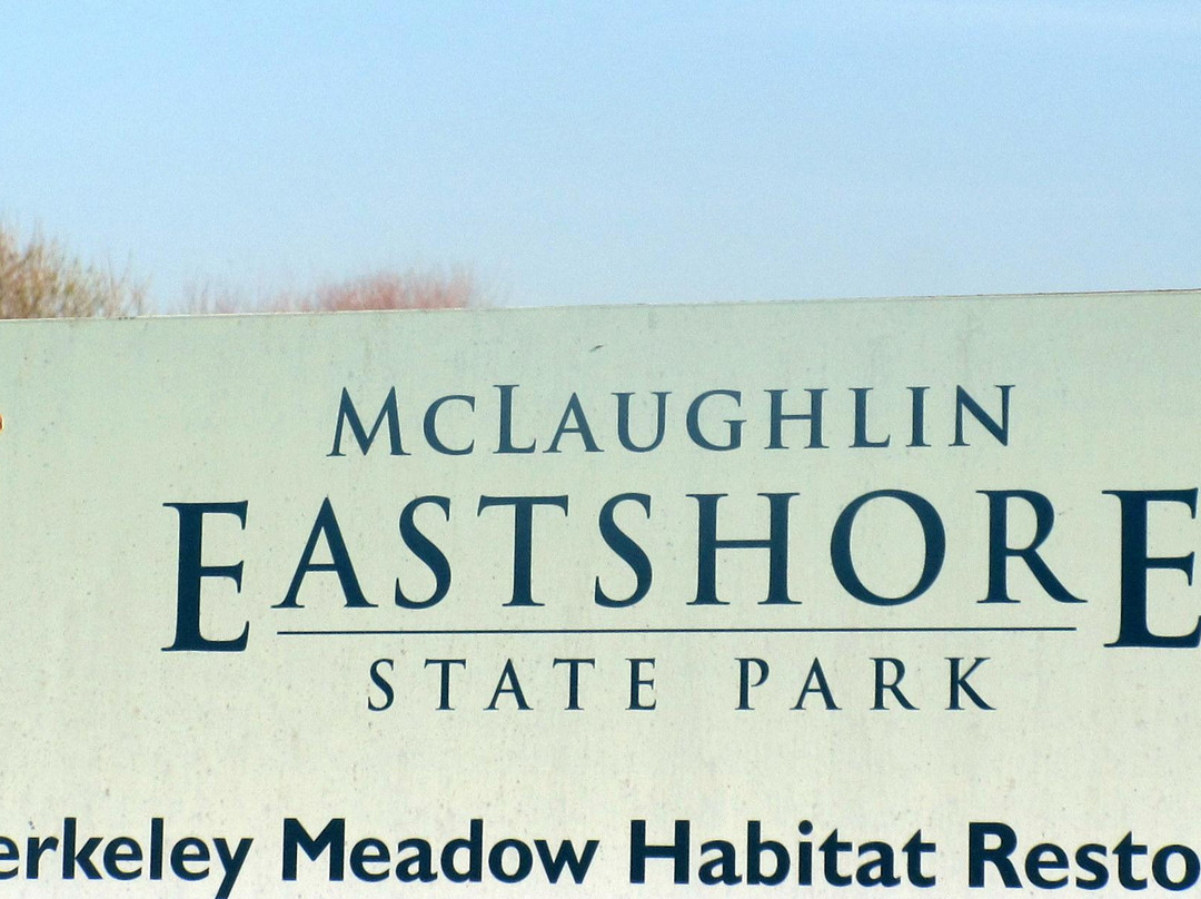 Eastshore State Park-伯克利必去景点