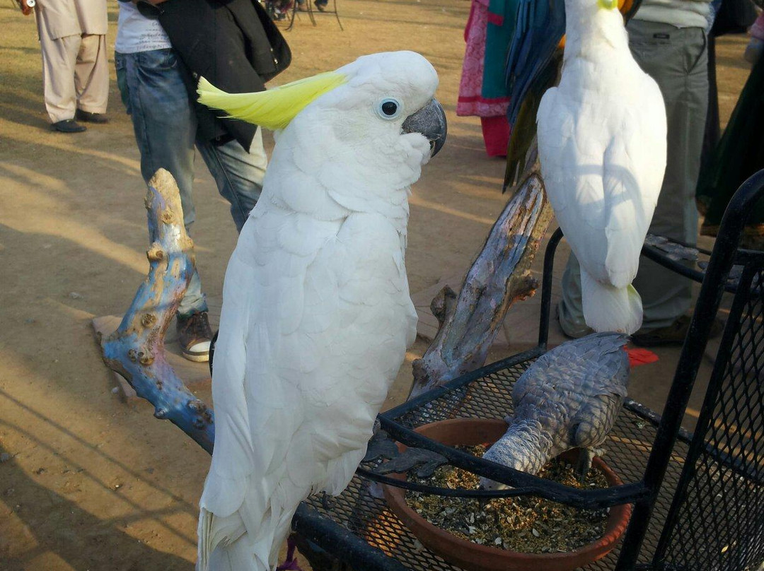 Bird Aviary-伊斯兰堡必去景点
