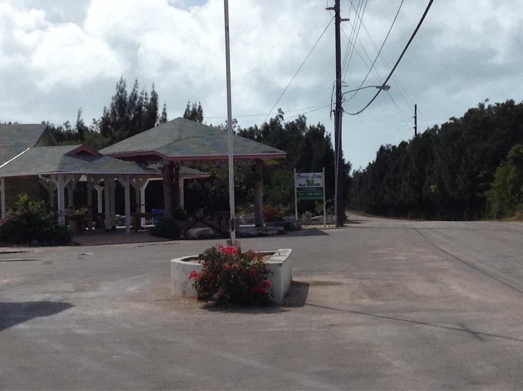 Clarence Town餐馆和美食-The Green Leaf Restaurant and Bar