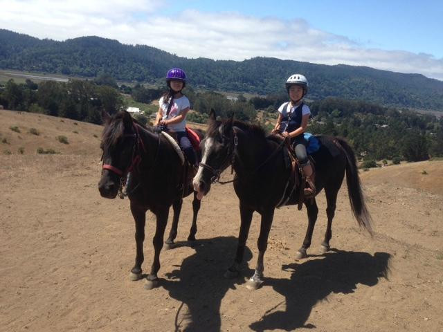 Point Reyes Arabian Adventures-Point Reyes Station必去景点