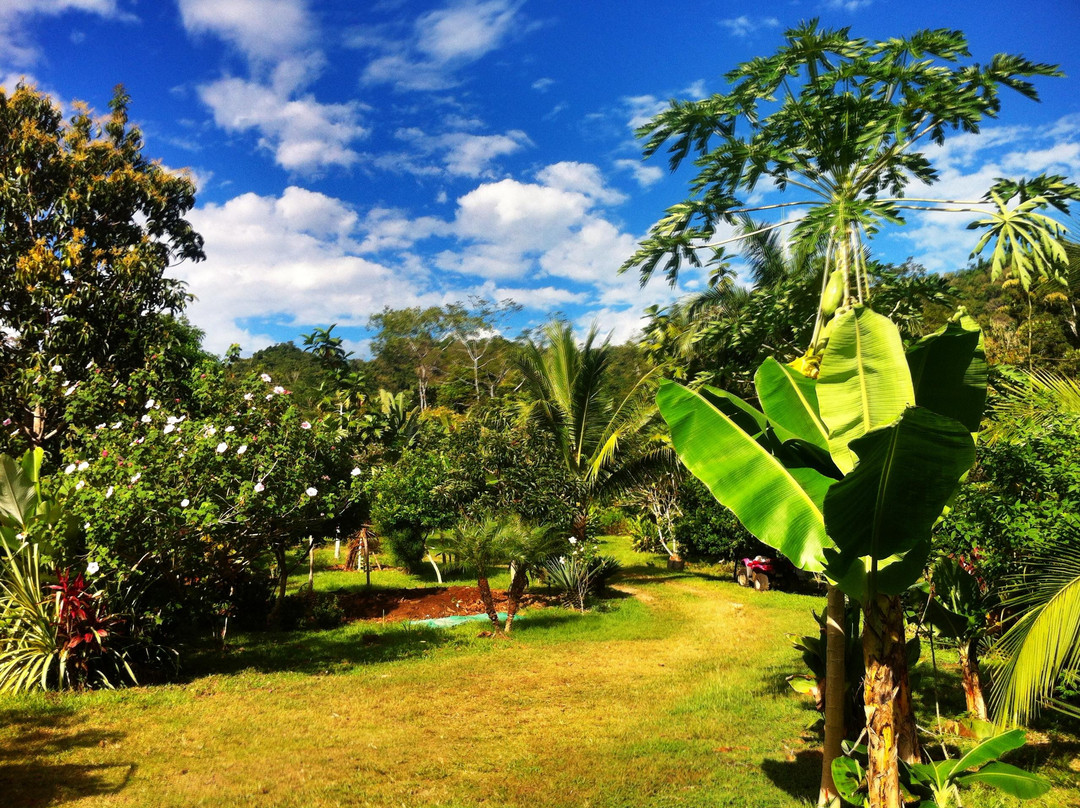 Finca Paraiso景点图片
