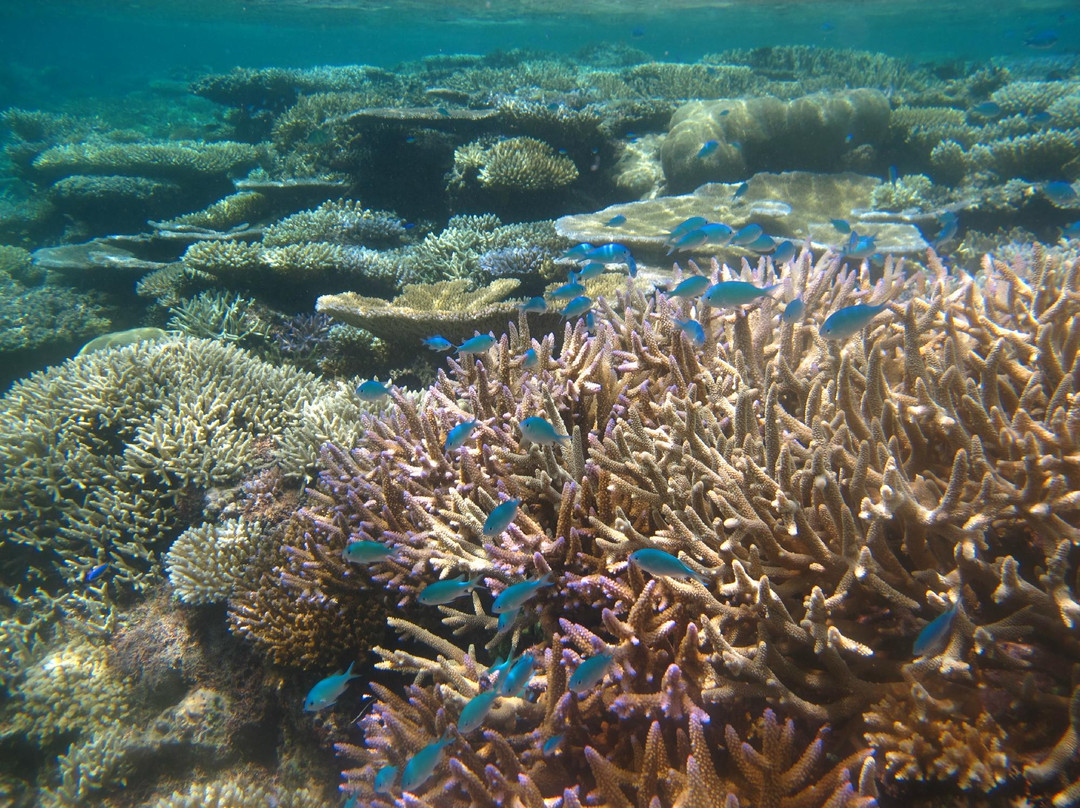 Sailing Fiji-马太必去景点