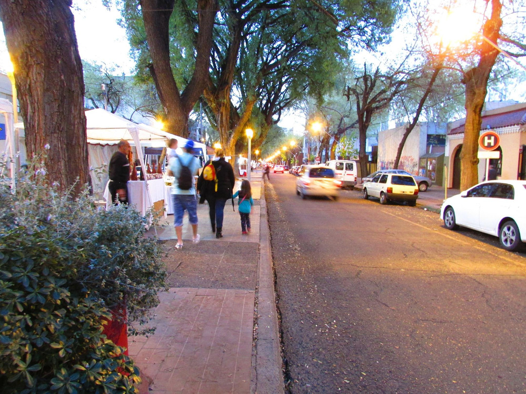 Plaza Pellegrini-门多萨必去景点