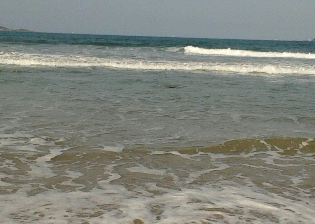 Ubatuba Beach-Sao Francisco do Sul必去景点