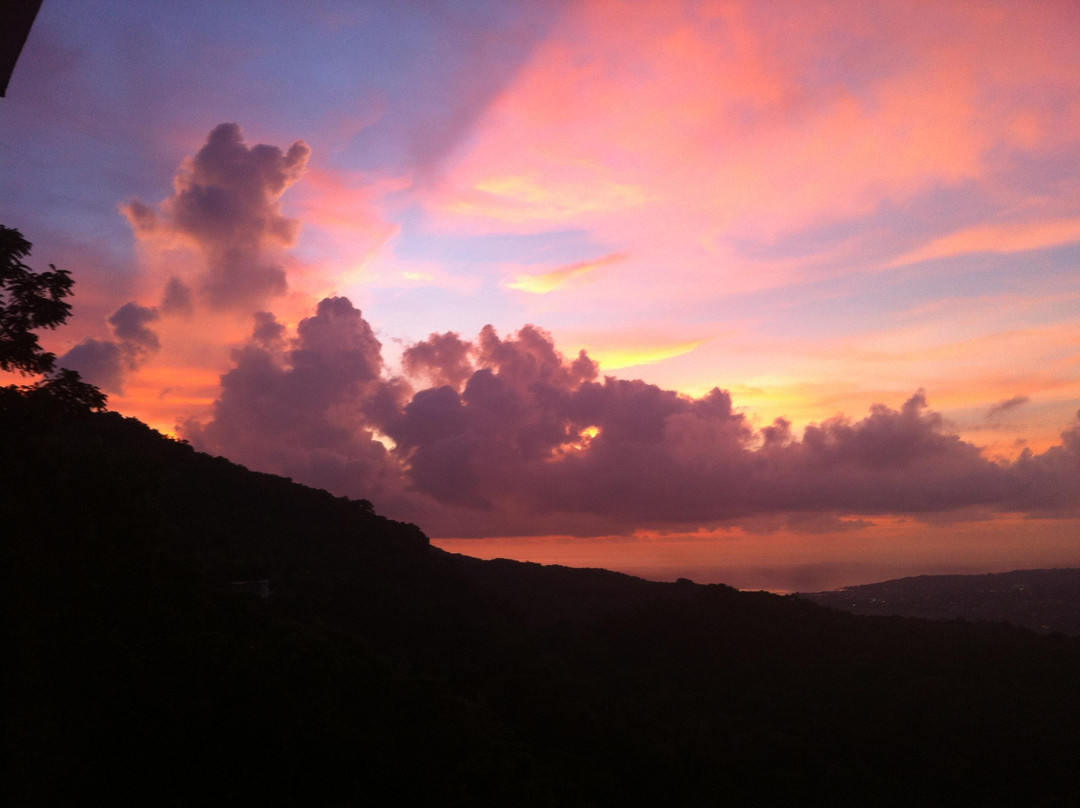 Ahhh...Ras Natango Gallery and Garden-蒙特戈贝必去景点