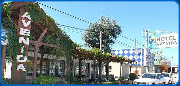 Hotel Avenida主图