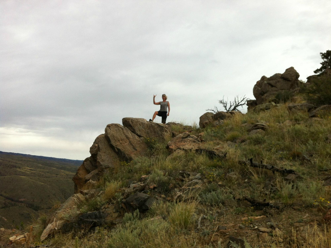 Cache La Poudre Wilderness-Livermore必去景点
