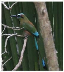 Espacio Natura-坎昆必去景点