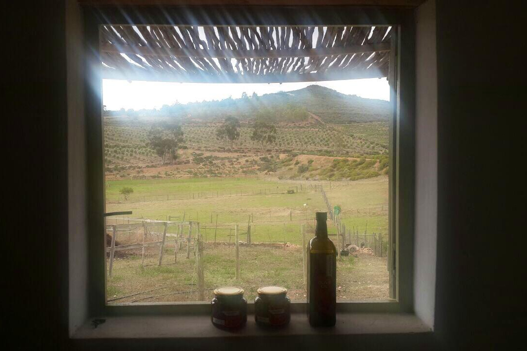 Olijvenhof Olive Estate-蒙提古必去景点