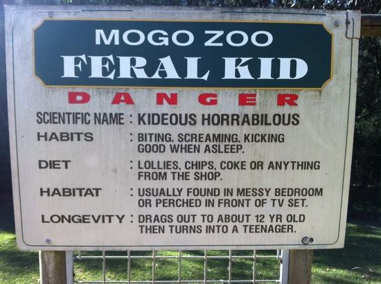 Mogo Wildlife Park景点图片