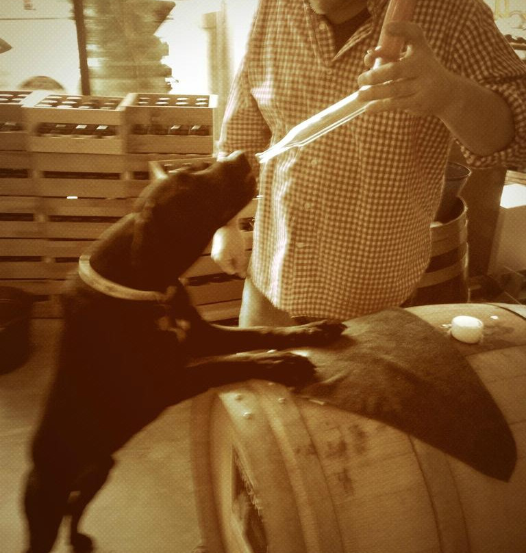 Mercury Wine景点图片