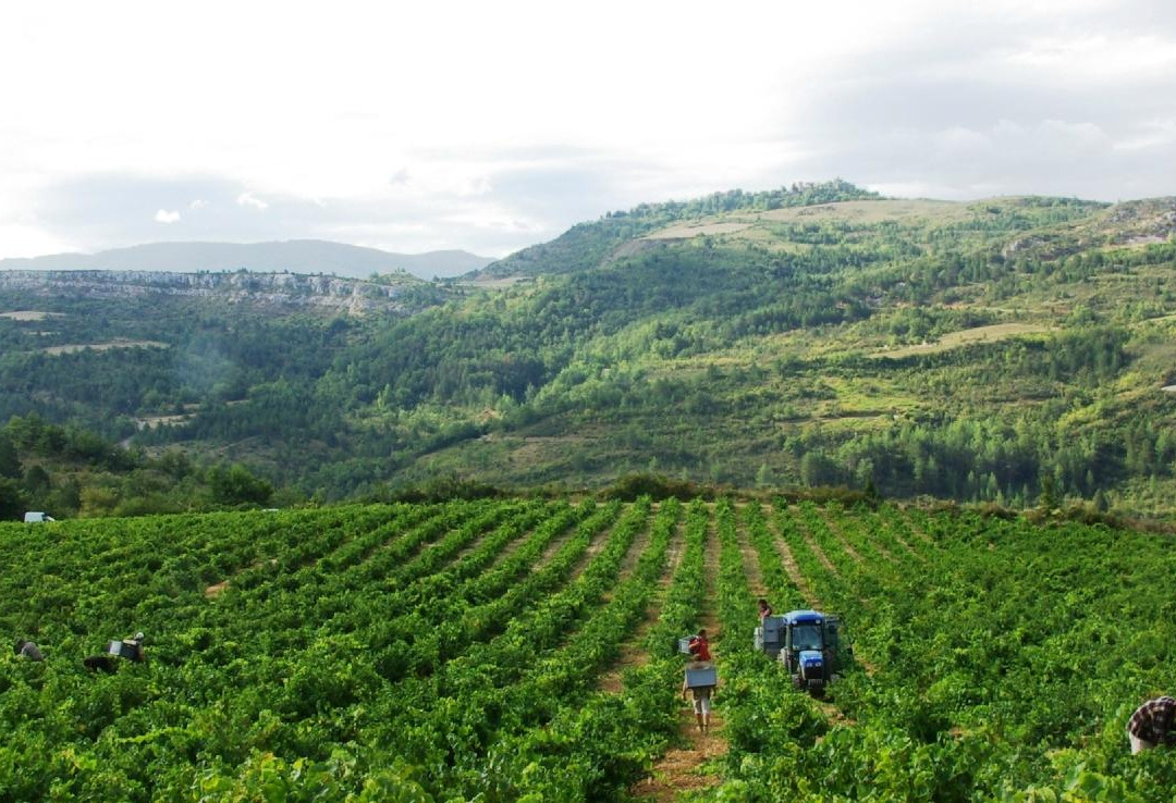 Domaine Delmas-Antugnac必去景点