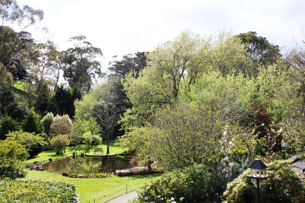 Brim Brim Gardens主图