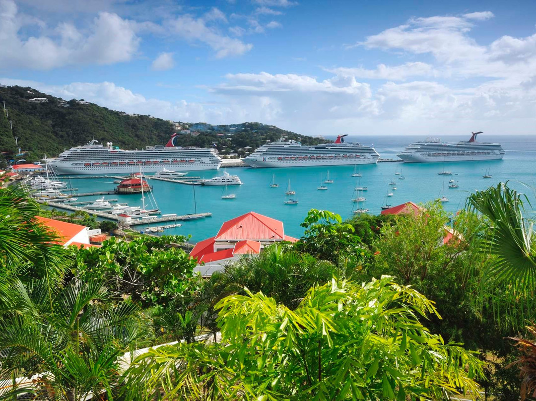 David's Fun Tours-圣 托马斯必去景点