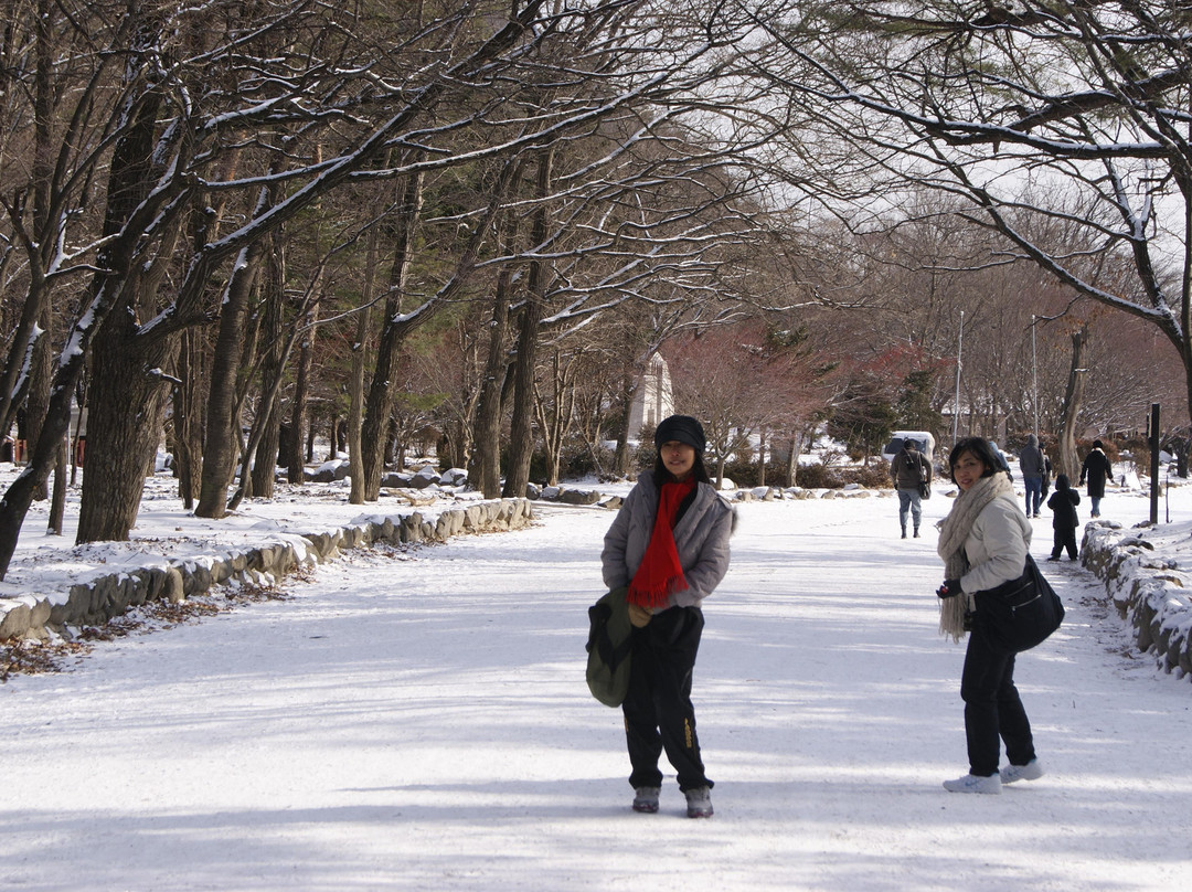 南怡岛-春川市必去景点