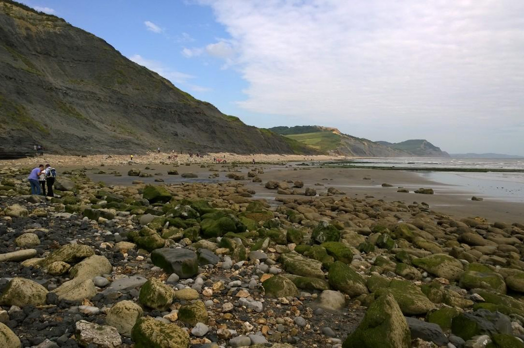 Lyme Regis fossil walks-Charmouth必去景点