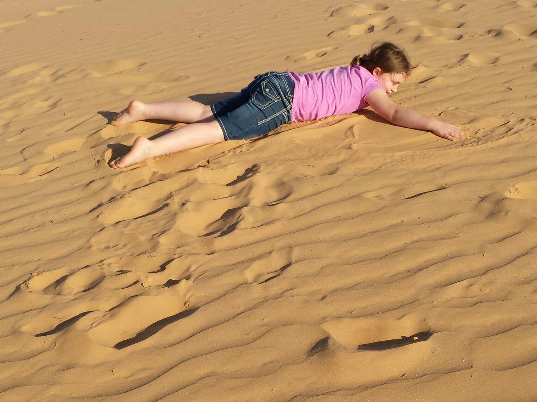 Negev Jeep-Sde Boker必去景点