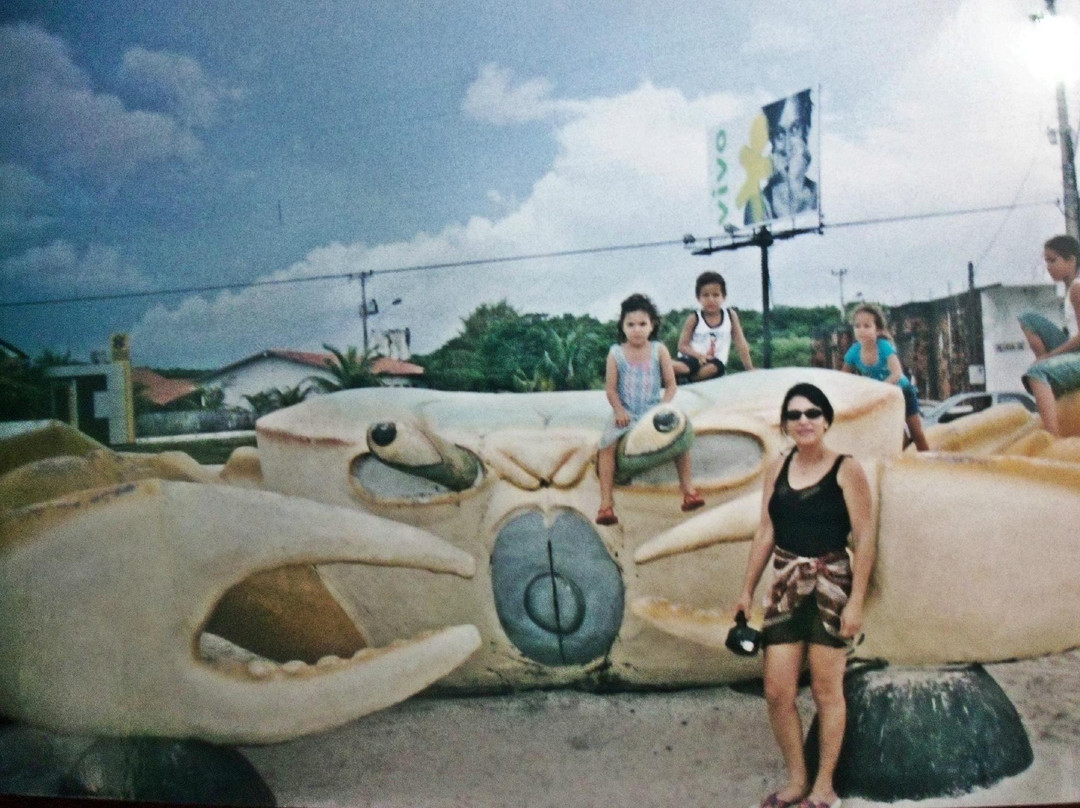 Praia do Maçarico-Salinopolis必去景点