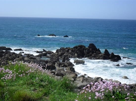 The Island - Pendinas-圣艾维斯必去景点