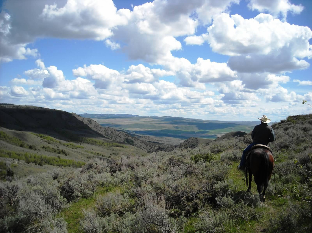 McGarry Ranches