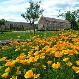Abbaye Notre-Dame de Cîteaux景点图片