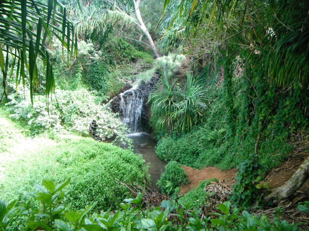 Kauai Eden Tours景点图片