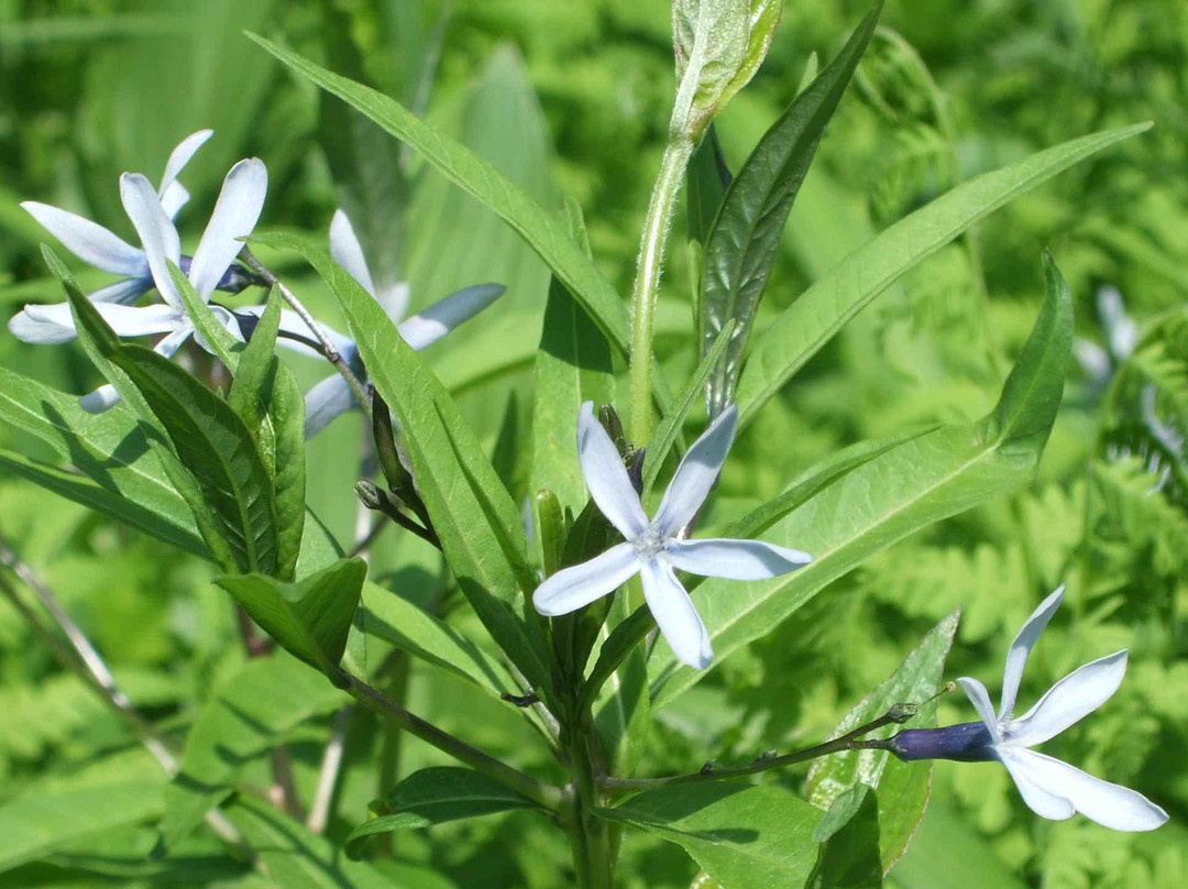 Institute of Nature Study-Shirokanedai必去景点