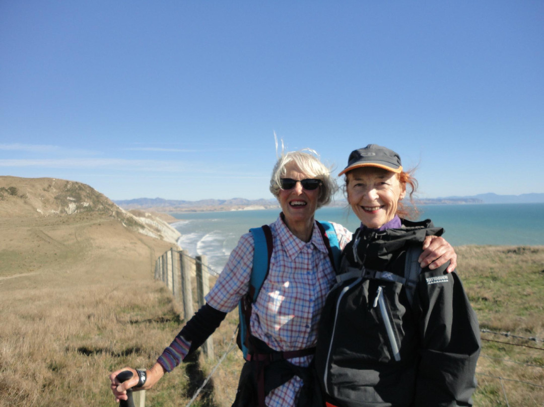 Cape Campbell Track-Ward必去景点