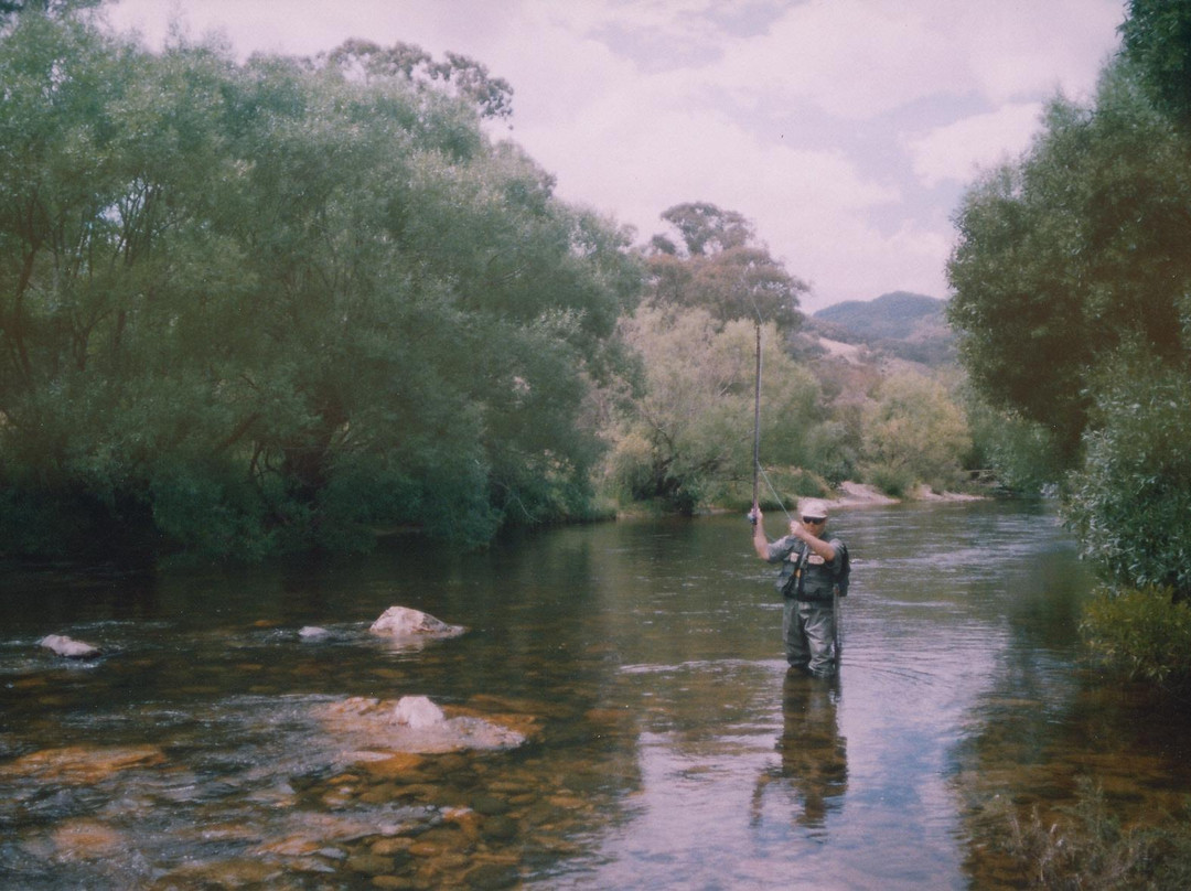 Tumut Fly Fishing景点图片