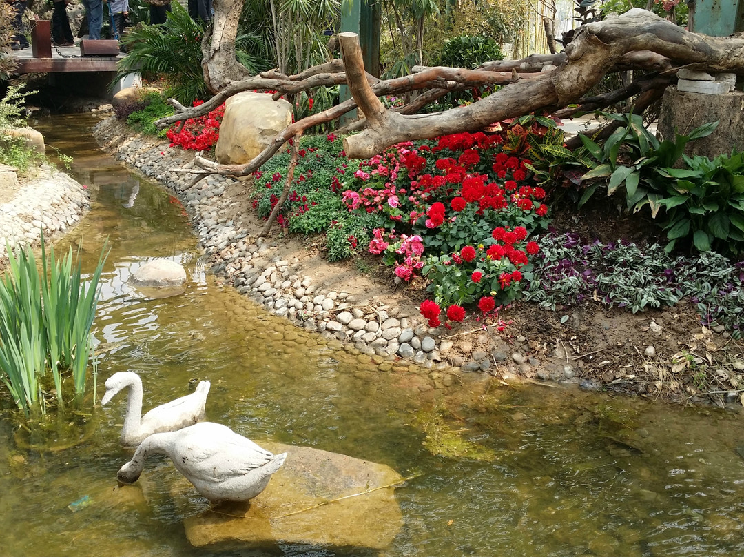 园博园-北京市必去景点