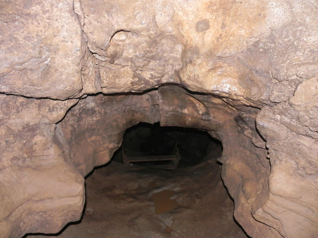 Ledge View Nature Center-Chilton必去景点