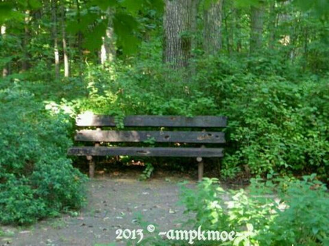 Reynolds Nature Preserve-Morrow必去景点