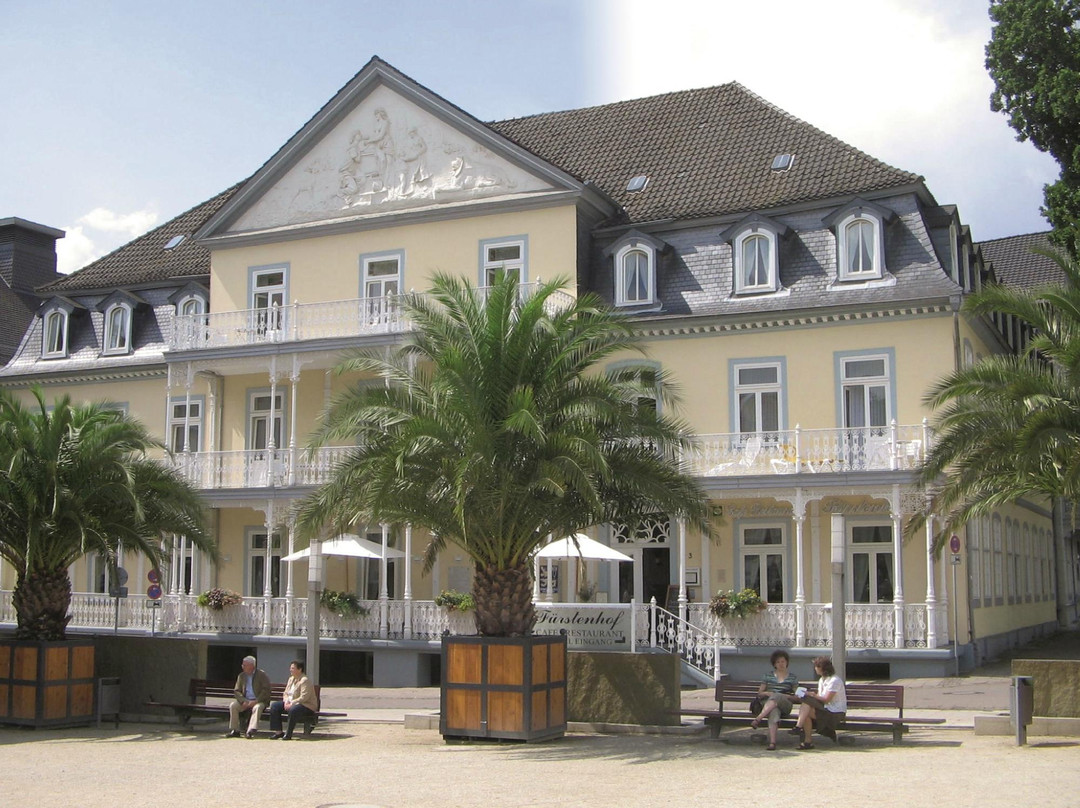 Hotel Füerstenhof主图
